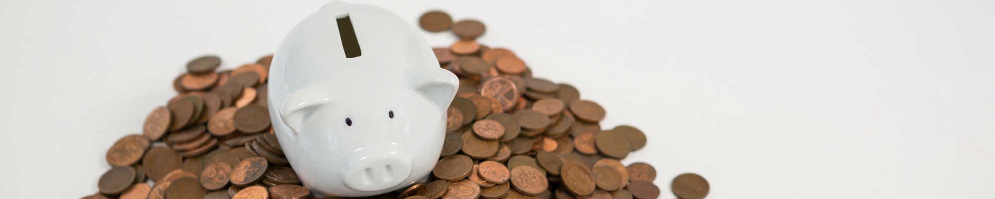 personal savings